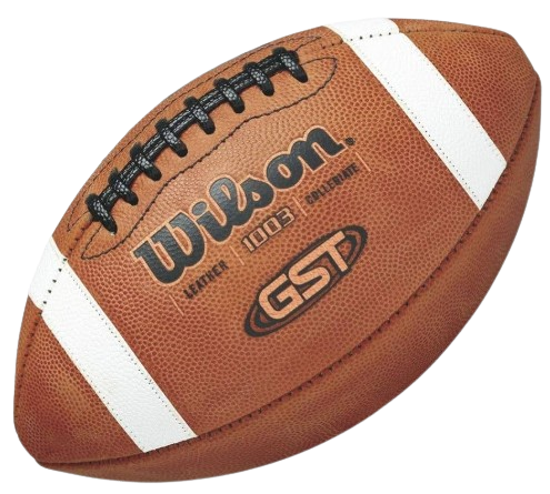 Wilson logo